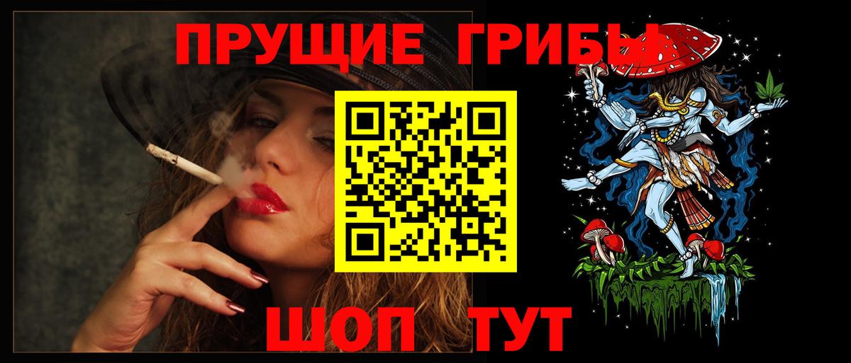 Псилоцибиновые грибы MAGIC MUSHROOMS  Вход с VPN  Скопин  купить наркотик  Псилоцибиновые грибы Psilocybine cubensis 